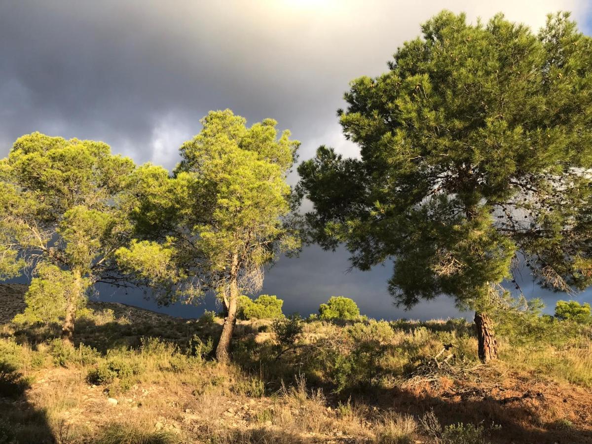 Finca El Otero Aigues Kültér fotó
